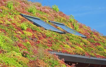 Ganders Green living roof systems