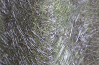 Ganders Green fibreglass roof work